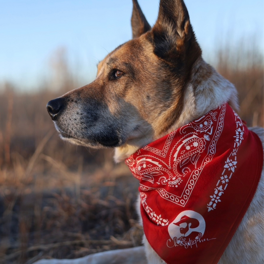 The Christopher Co Bandana